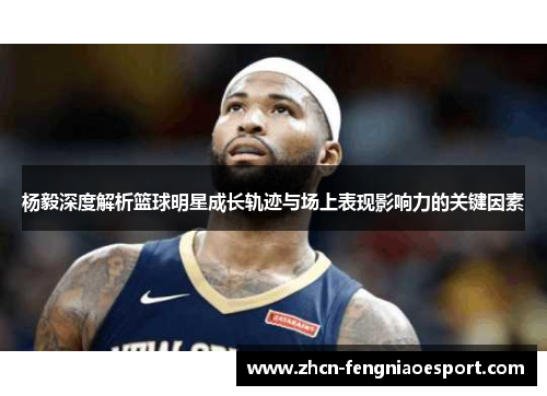 杨毅深度解析篮球明星成长轨迹与场上表现影响力的关键因素