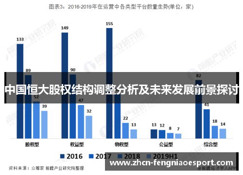 中国恒大股权结构调整分析及未来发展前景探讨