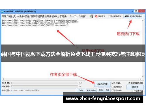 韩国与中国视频下载方法全解析免费下载工具使用技巧与注意事项