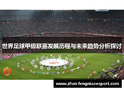 世界足球甲级联赛发展历程与未来趋势分析探讨