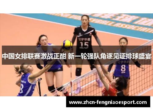 中国女排联赛激战正酣 新一轮强队角逐见证排球盛宴